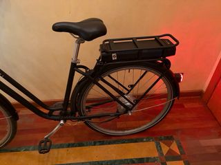 Bicicletta Elettrica con Pedalata Assistita