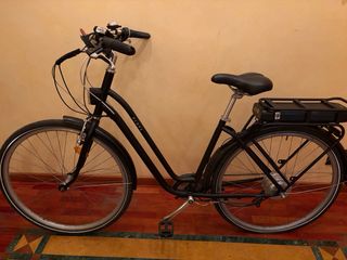 Bicicletta Elettrica con Pedalata Assistita