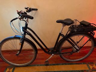 Bicicletta Elettrica con Pedalata Assistita