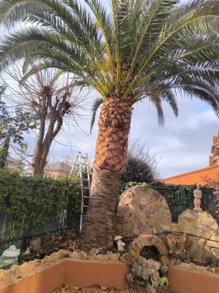 Mantenimiento de jardín y piscina