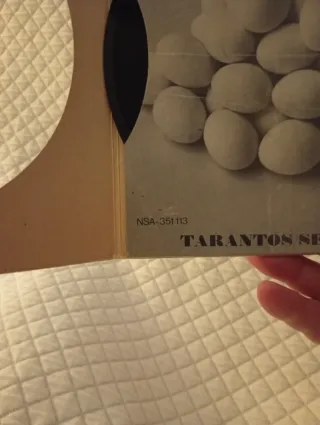 Vinilo 7 All & Nothing - Pop Rock