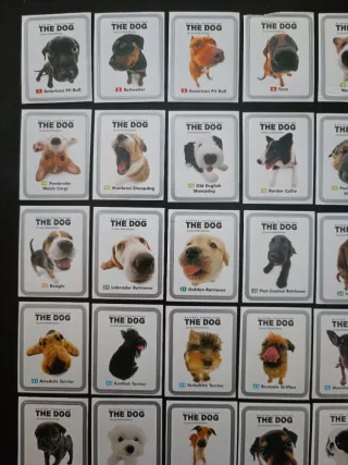 Caderneta The Dog Chipicao 48/80