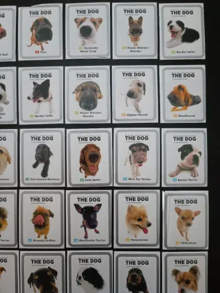 Caderneta The Dog Chipicao 48/80