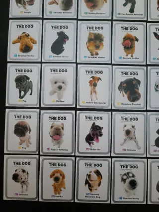 Caderneta The Dog Chipicao 48/80