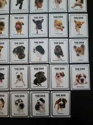 Caderneta The Dog Chipicao 48/80