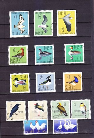 Lote sellos aves Polonia