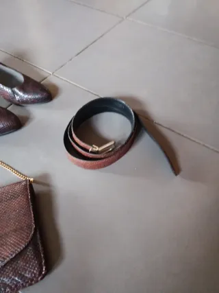 Bolso, zapatos y cinturón piel serpiente