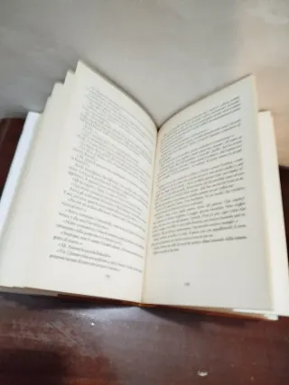 Libro La doppia Vita Charlotte Link