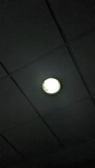 Lote 12 Plafón Downlight 23cm con 24 bombillas