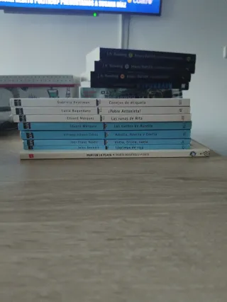 Libros de lectura editorial sm