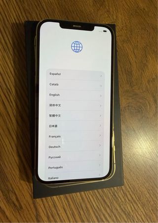 iPhone 12 Pro Max 256GB Dorado