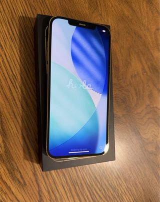 iPhone 12 Pro Max 256GB Dorado