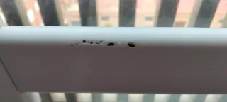 Litera individual alta con escalera y barandilla