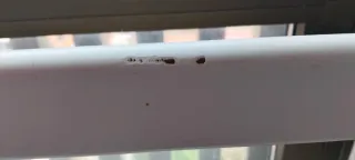 Litera individual alta con escalera y barandilla