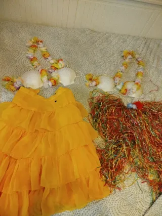 2Disfraces Hawaiano y Hawaiana Conchas