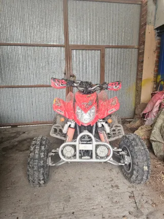 Quad Suzuki LTZ400 / Arctic cat dvx400