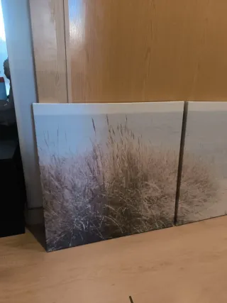 PJÄTTERYD Cuadro ikea dunas suecas