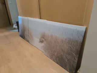 PJÄTTERYD Cuadro ikea dunas suecas