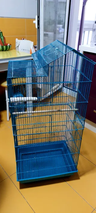 Jaula para pájaros azul