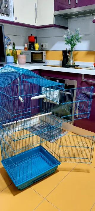 Jaula para pájaros azul