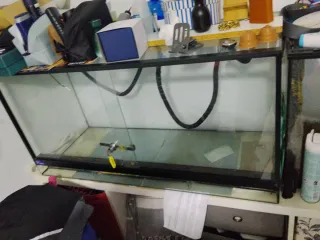 Terrario grande para mascotas