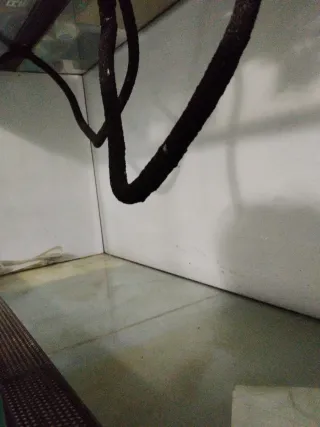 Terrario grande para mascotas