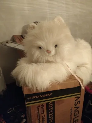 Peluche gato blanco grande