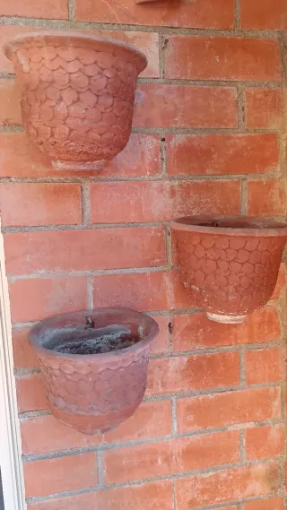 Lote Macetas Cerámica y Terracota