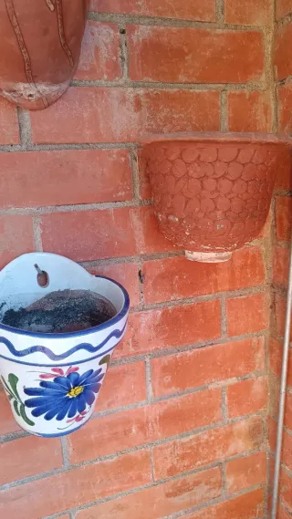 Lote Macetas Cerámica y Terracota