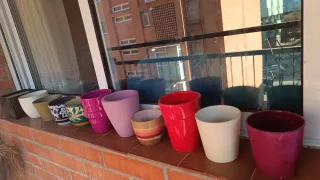 Lote Macetas Cerámica y Terracota