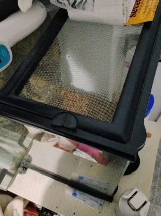 Terrario Negro y Verde con ventilación de rejilla