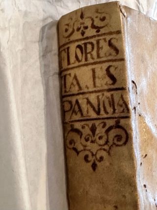 Floresta Española (1614) - Melchior de Santa Cruz