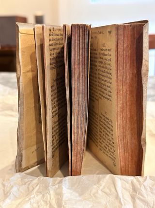 Floresta Española (1614) - Melchior de Santa Cruz