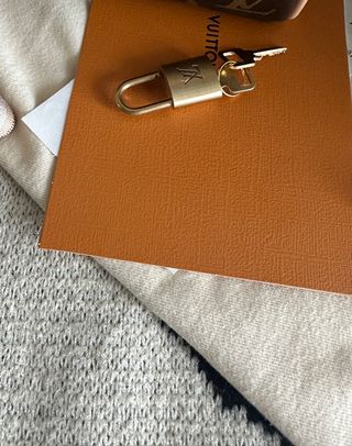 Louis Vuitton SpeedyMonogram