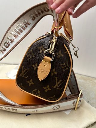 Louis Vuitton SpeedyMonogram