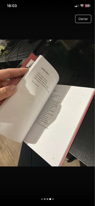 Herido diario (Poesía) (Spanish Edition)