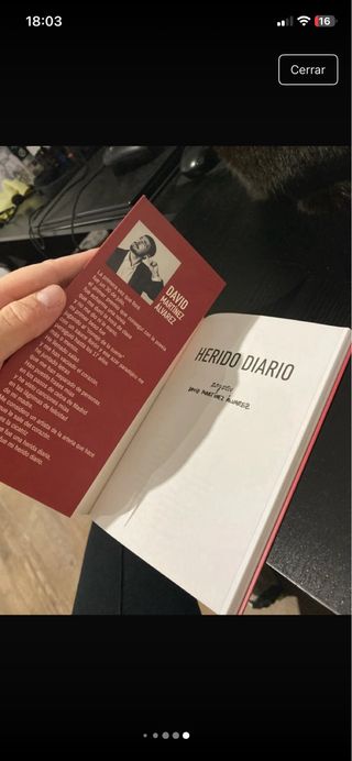 Herido diario (Poesía) (Spanish Edition)