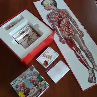Gioco Educativo Body IQ  5+