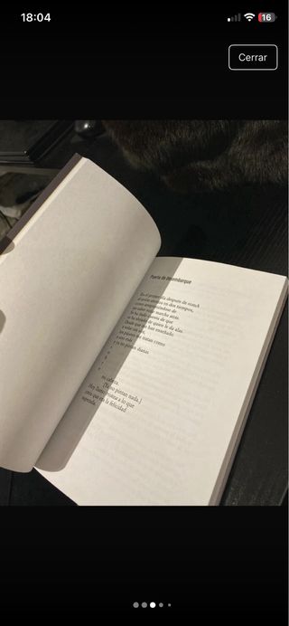 El mundo es un gato jugando con Australia