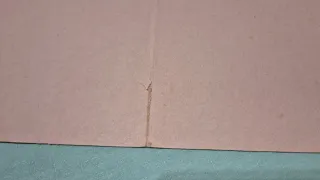 Juego de mesa Pokémon Maestro Entrenador