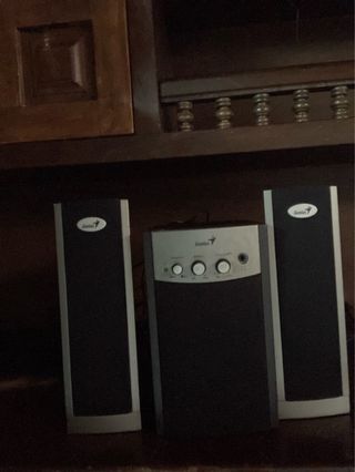 Altavoces Genius Negros y Plateados