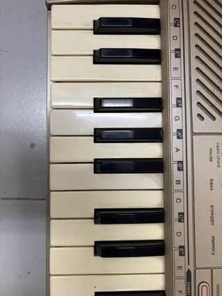 Teclado Casio Casiotone