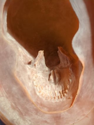 Molde Calavera Grande 21x15x20