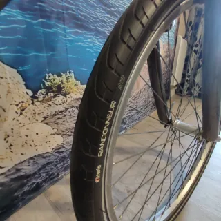 Bicicleta Fixie Gris urbana