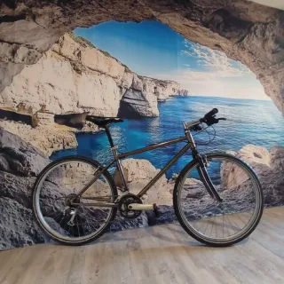 Bicicleta Fixie Gris urbana