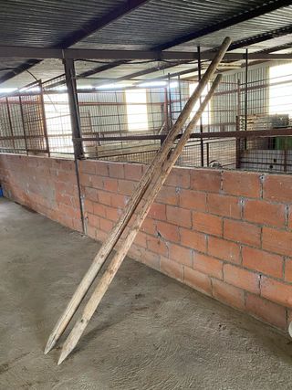 Poste de madera con punta