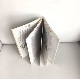 Duck Soup. Collection The Black Cat. Au Secundaria