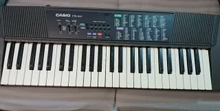 Teclado Casio CTK-100