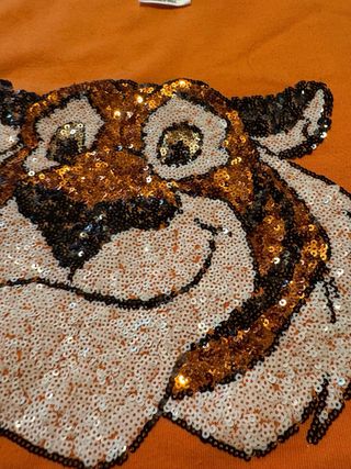 Sudadera Disney Naranja con Lentejuelas