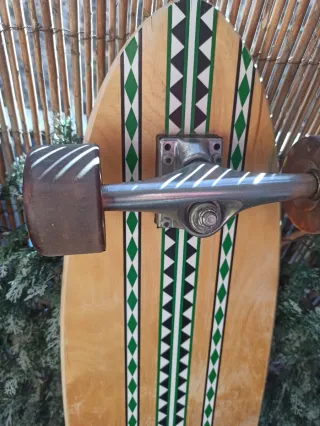 Longboard Freesurfer Munster